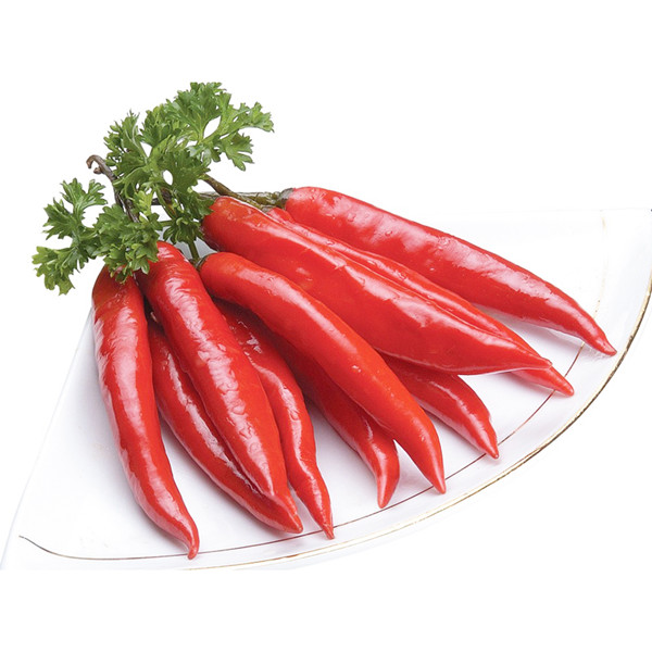 食堂承包餐飲公司，使事情更有服從